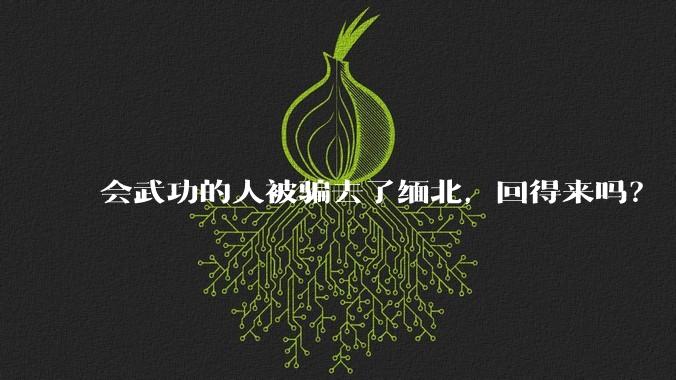 会武功的人被骗去了缅北，回得来吗？